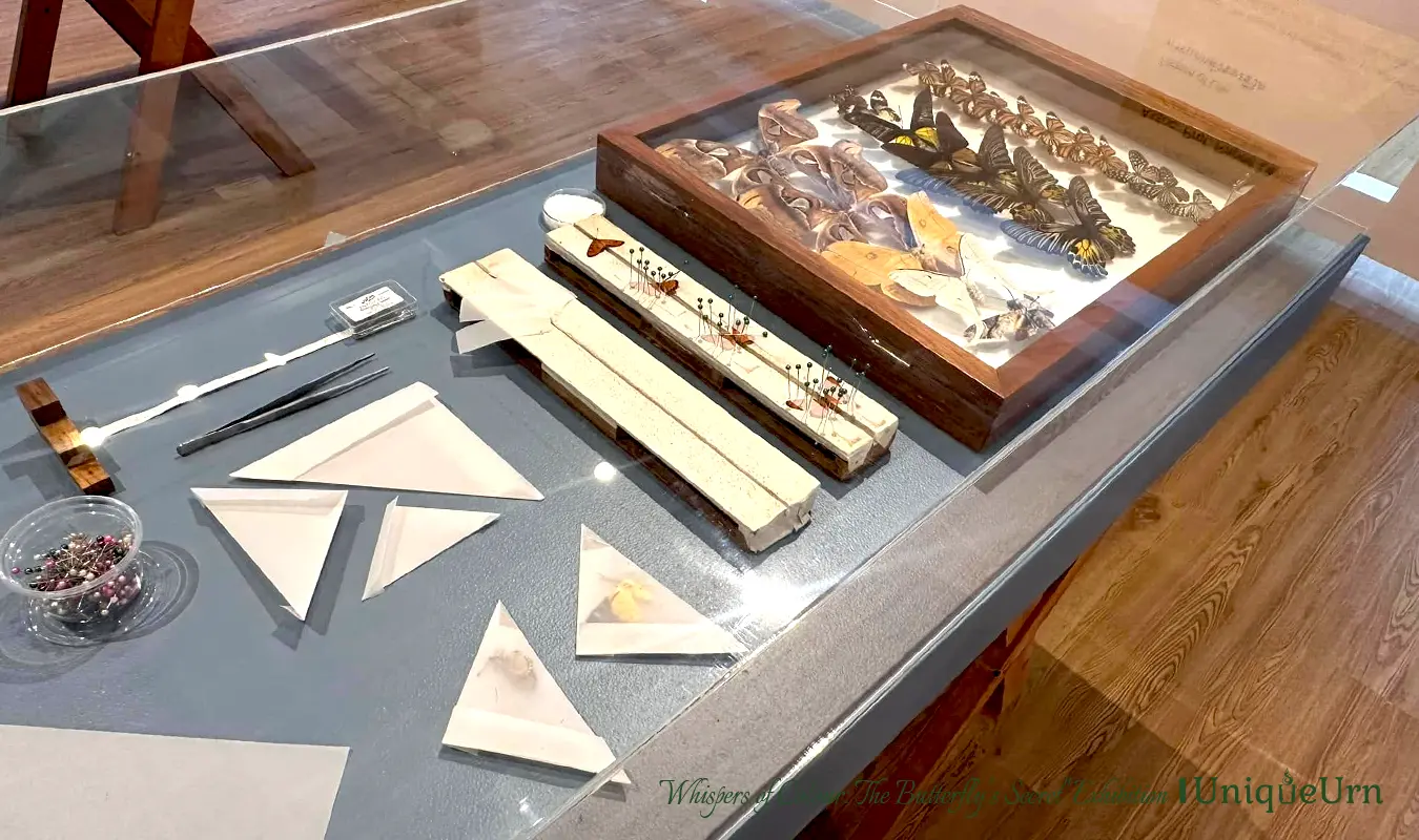 Whispers of Colour: The Butterfly’s Secret Exhibition demonstrates the science and art of butterfly symbolism in memorial art heritage.