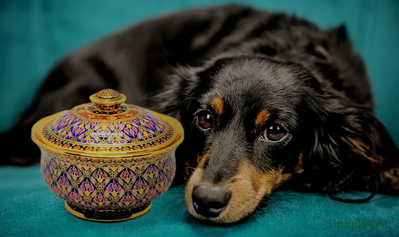 After losing a faithful pet, it is better to use artistic architecture to heal the heart and create a memorial with handcrafted Benjarong keepsake urns.