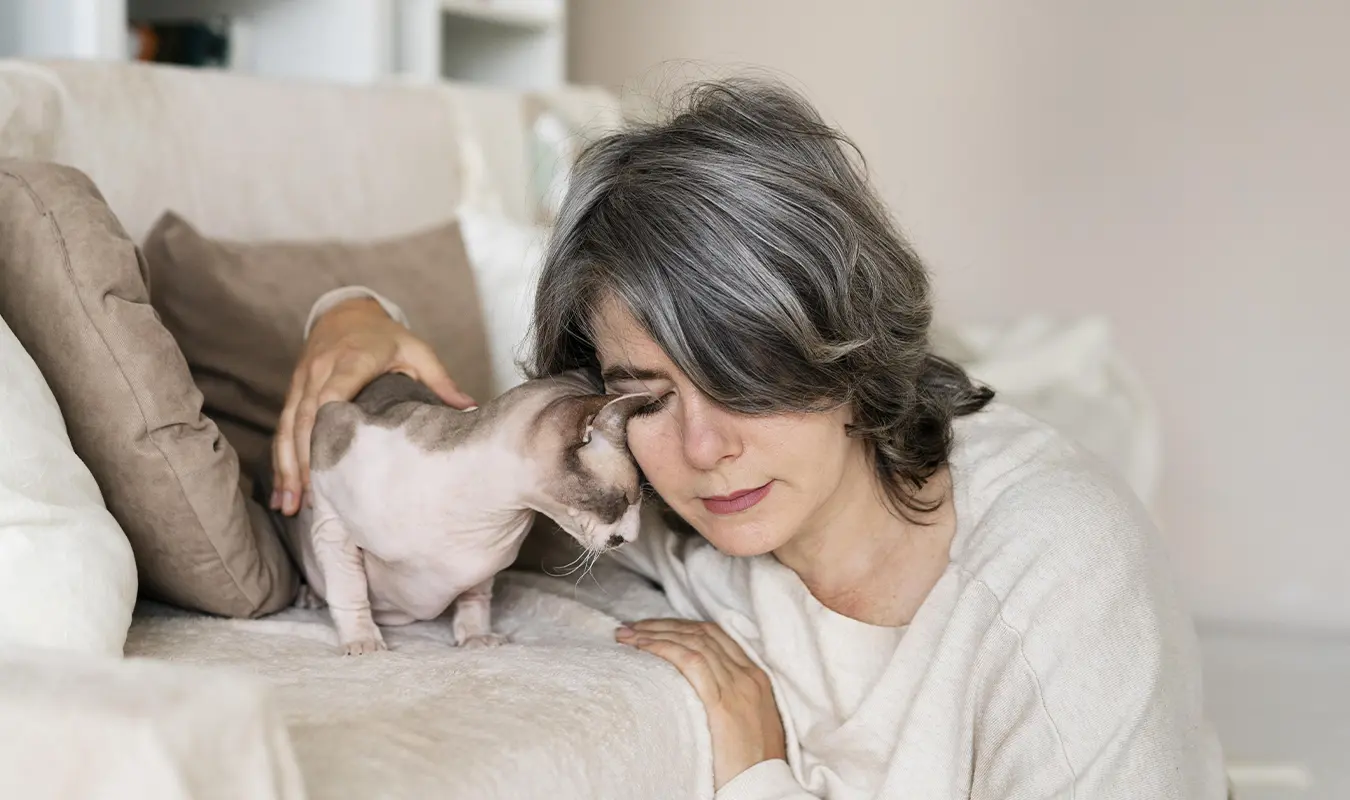 Women who have lost their pets will be sad, so they need healing, and the aura of art is an important solution.