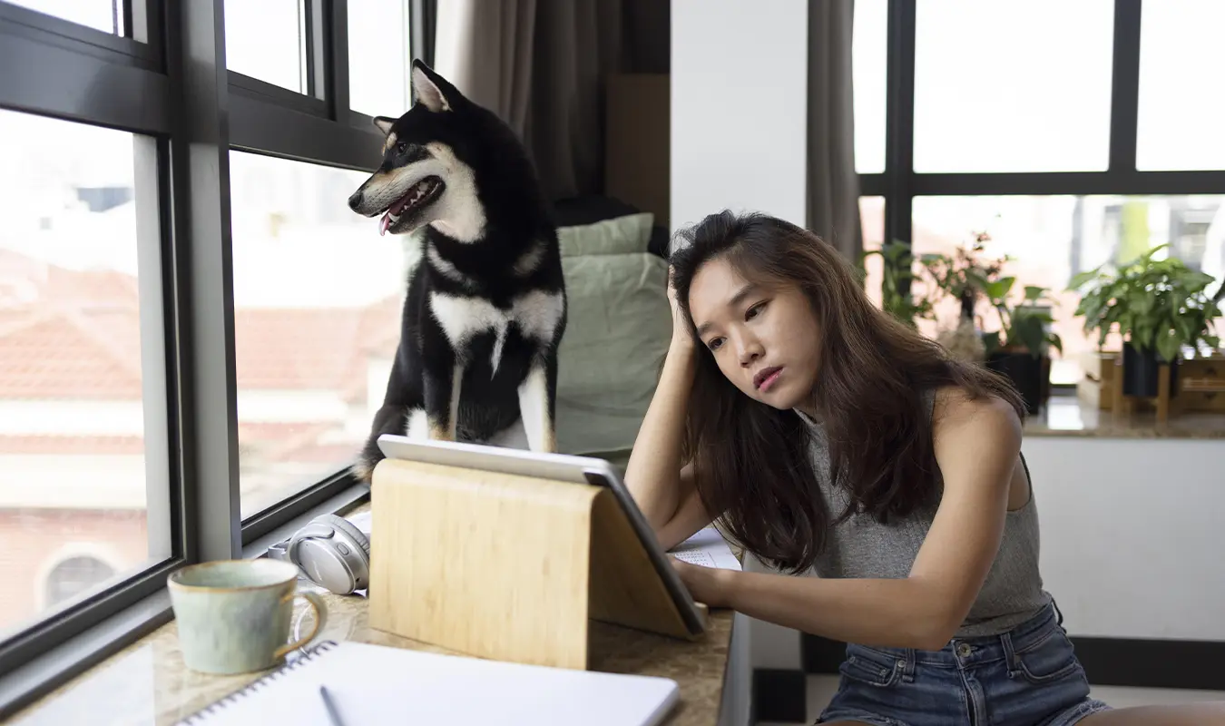 Women who have lost their pets will be sad, so they need healing, and the aura of art is an important solution.
