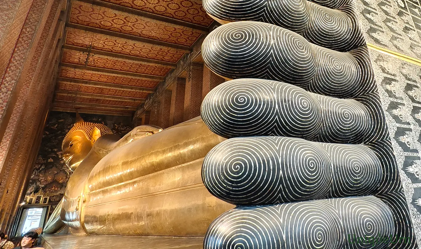 The Wat Pho’s reclining Buddha is the 3rd largest in Thailand at 15 m. High & 46 m. long.