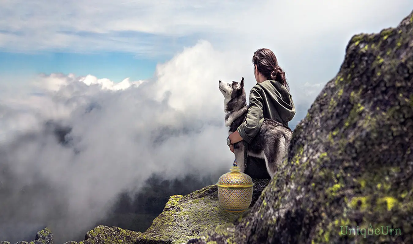 Explore the best way to deal with and manage the death of a pet in Thailand. Celebrate a pet's life with handmade Bencharong art cremation urns from UniqueUrn.