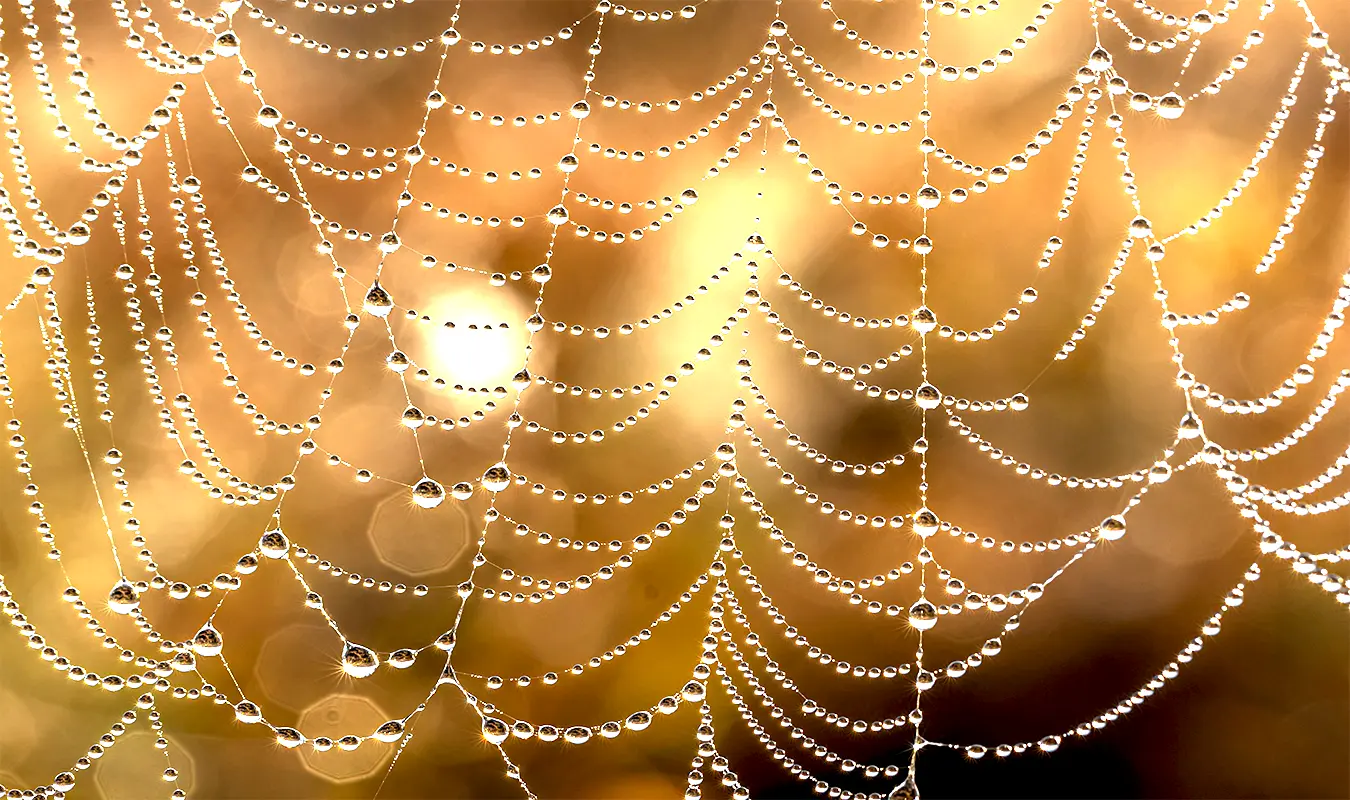 Image of a glowing Quantum connection, ethereal Idappaccavata (Indra’s Net) merging into the intricate golden eternal.
